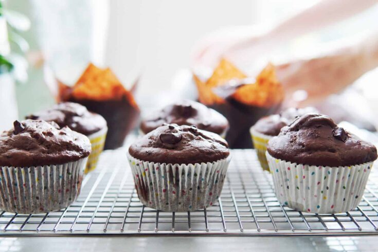 Double Chocolate High Protein Muffins