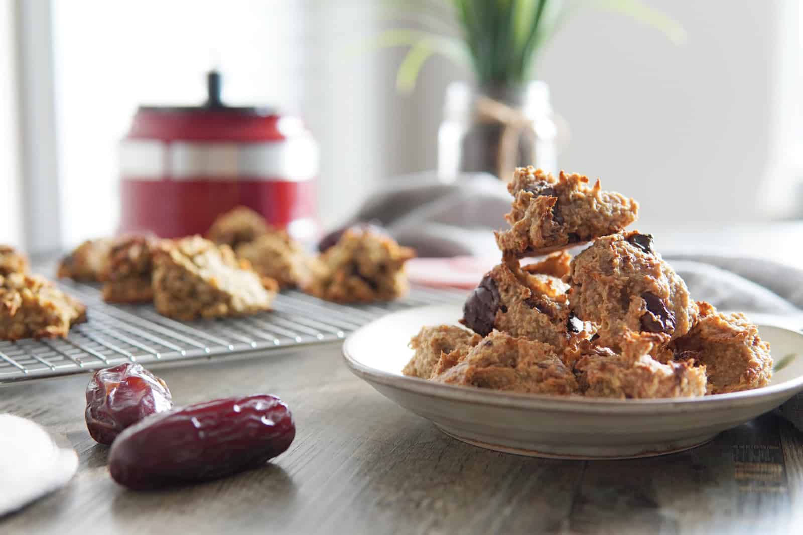 Sugar Free Post Workout Granola Bites